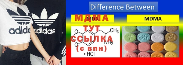 молекула духа Богородицк